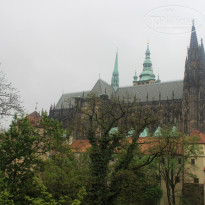 фото из отзыва ID 1567709