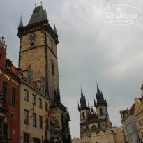 фото из отзыва ID 1567709