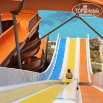 фото из отзыва ID 1566381