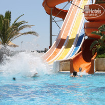 фото из отзыва ID 1566381