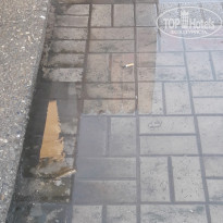 фото из отзыва ID 1567846