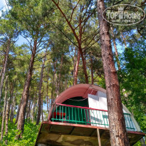 фото из отзыва ID 1567991