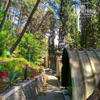 фото из отзыва ID 1567991