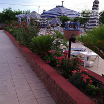 фото из отзыва ID 1568115