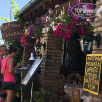 фото из отзыва ID 1568142