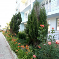 фото из отзыва ID 1568173