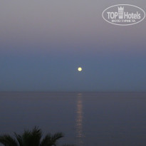 фото из отзыва ID 1568381