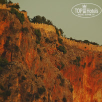 фото из отзыва ID 1568381