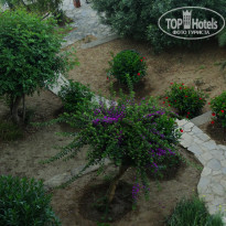 фото из отзыва ID 1568381