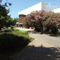 фото из отзыва ID 1568432