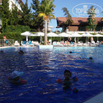 фото из отзыва ID 1568545