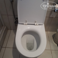 фото из отзыва ID 1568926