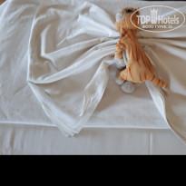 фото из отзыва ID 1568926