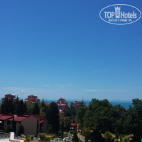 фото из отзыва ID 1568960