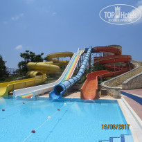 фото из отзыва ID 1567363