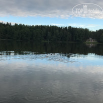 фото из отзыва ID 1569112