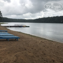 фото из отзыва ID 1569112