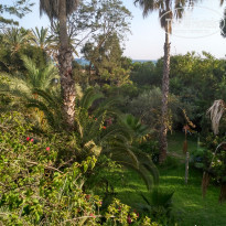 фото из отзыва ID 1563672