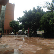 фото из отзыва ID 1569174