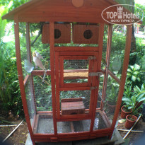 фото из отзыва ID 1569174