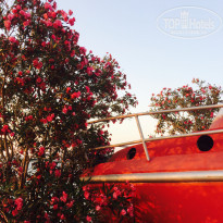 фото из отзыва ID 1569266