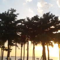 фото из отзыва ID 1569268