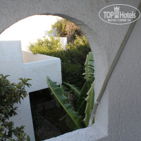 фото из отзыва ID 1569305