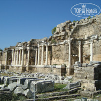 фото из отзыва ID 1569365