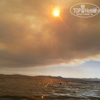 фото из отзыва ID 1569431