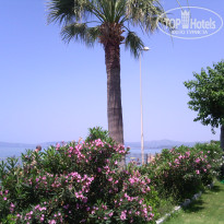 фото из отзыва ID 1569431