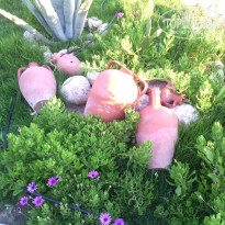 фото из отзыва ID 1569431