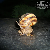 фото из отзыва ID 1569597