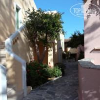 фото из отзыва ID 1569791