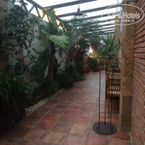 фото из отзыва ID 1569826