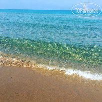 фото из отзыва ID 1569890