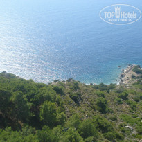 фото из отзыва ID 1569959