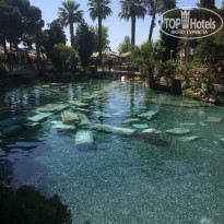 фото из отзыва ID 1563385