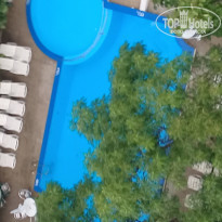 фото из отзыва ID 1564897