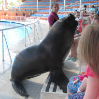 фото из отзыва ID 1565174