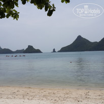 фото из отзыва ID 1562856