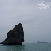 фото из отзыва ID 1562856