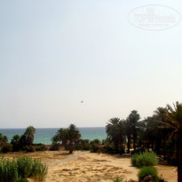 фото из отзыва ID 157012