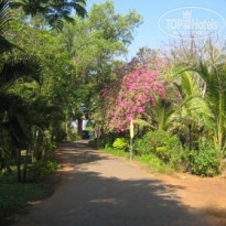 фото из отзыва ID 157126