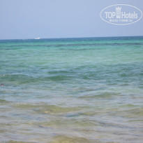 фото из отзыва ID 157440