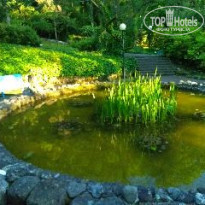 фото из отзыва ID 1570021