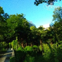 фото из отзыва ID 1570021