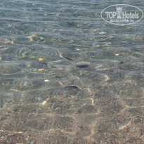 фото из отзыва ID 1570046