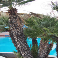 фото из отзыва ID 1570046