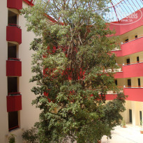 фото из отзыва ID 1570056