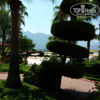 фото из отзыва ID 1570110